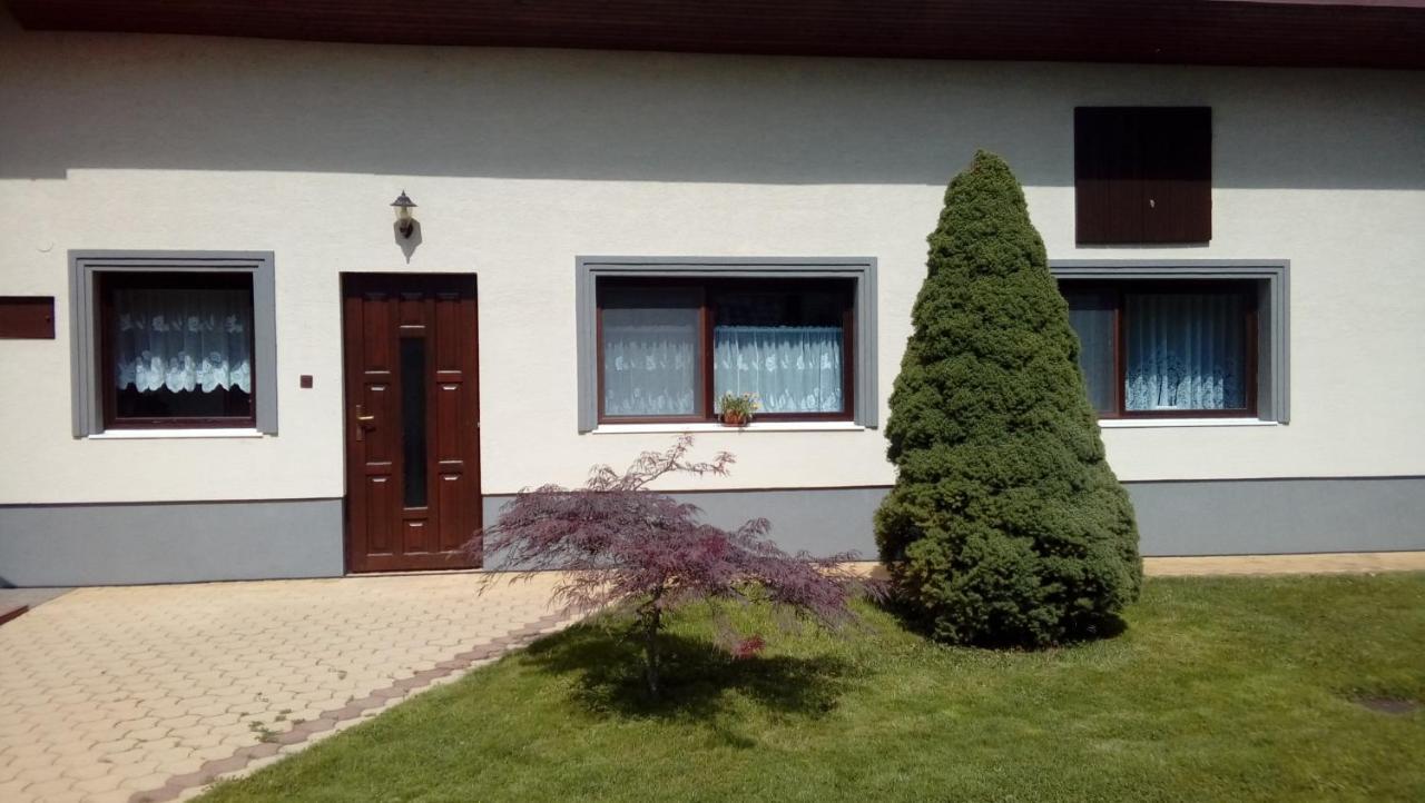 U Mna Doma Apartment Lucatin Exterior photo